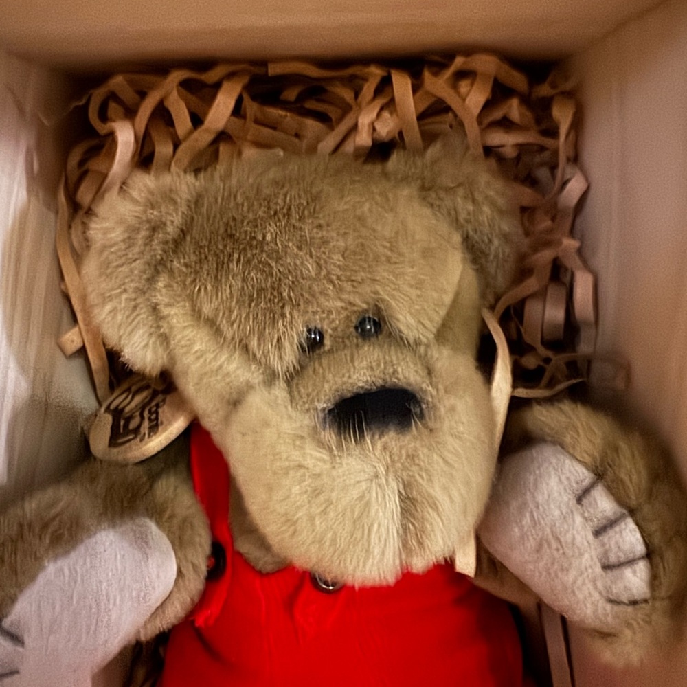 Vintage Bonita Bears “Grizzly Bear”